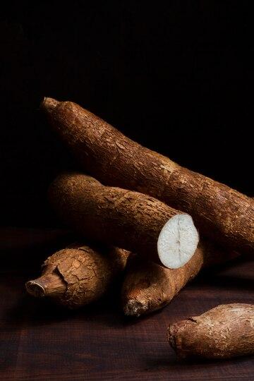 Manioc